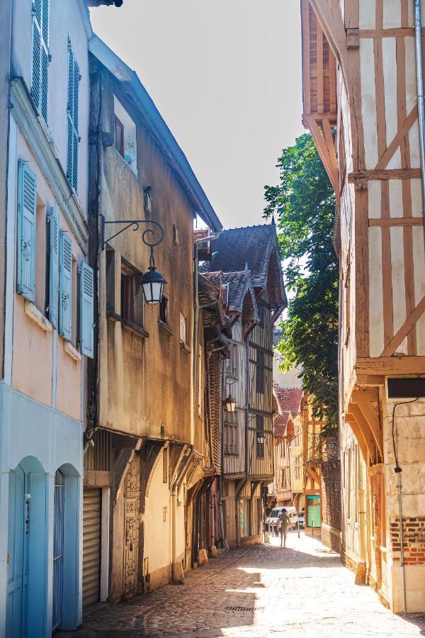 Le Petit Clos - Jardin Privatif - Proche Du Centre Troyes Dış mekan fotoğraf
